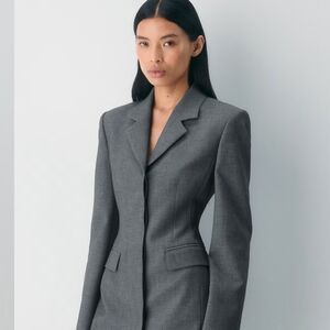 BNWT Aritzia Babaton Autograph Blazer Dress Pinstripe